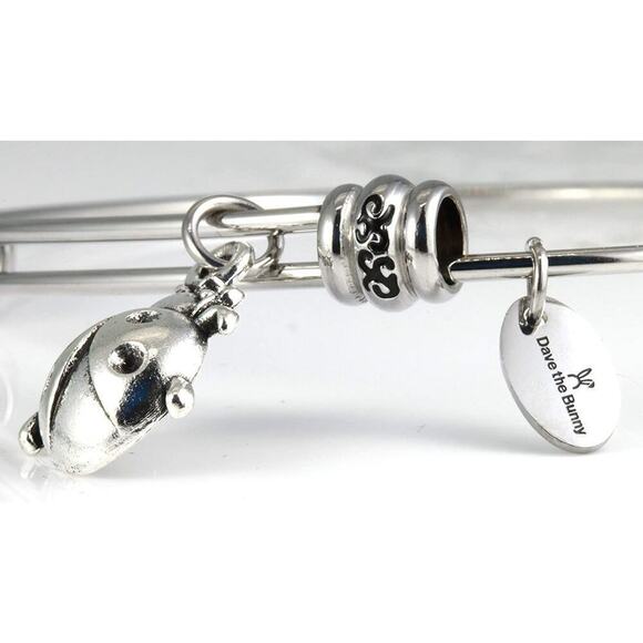 Lady Bug Bracelet - Ladybugs Jewelry Stainless Steel - Picture 5 of 9